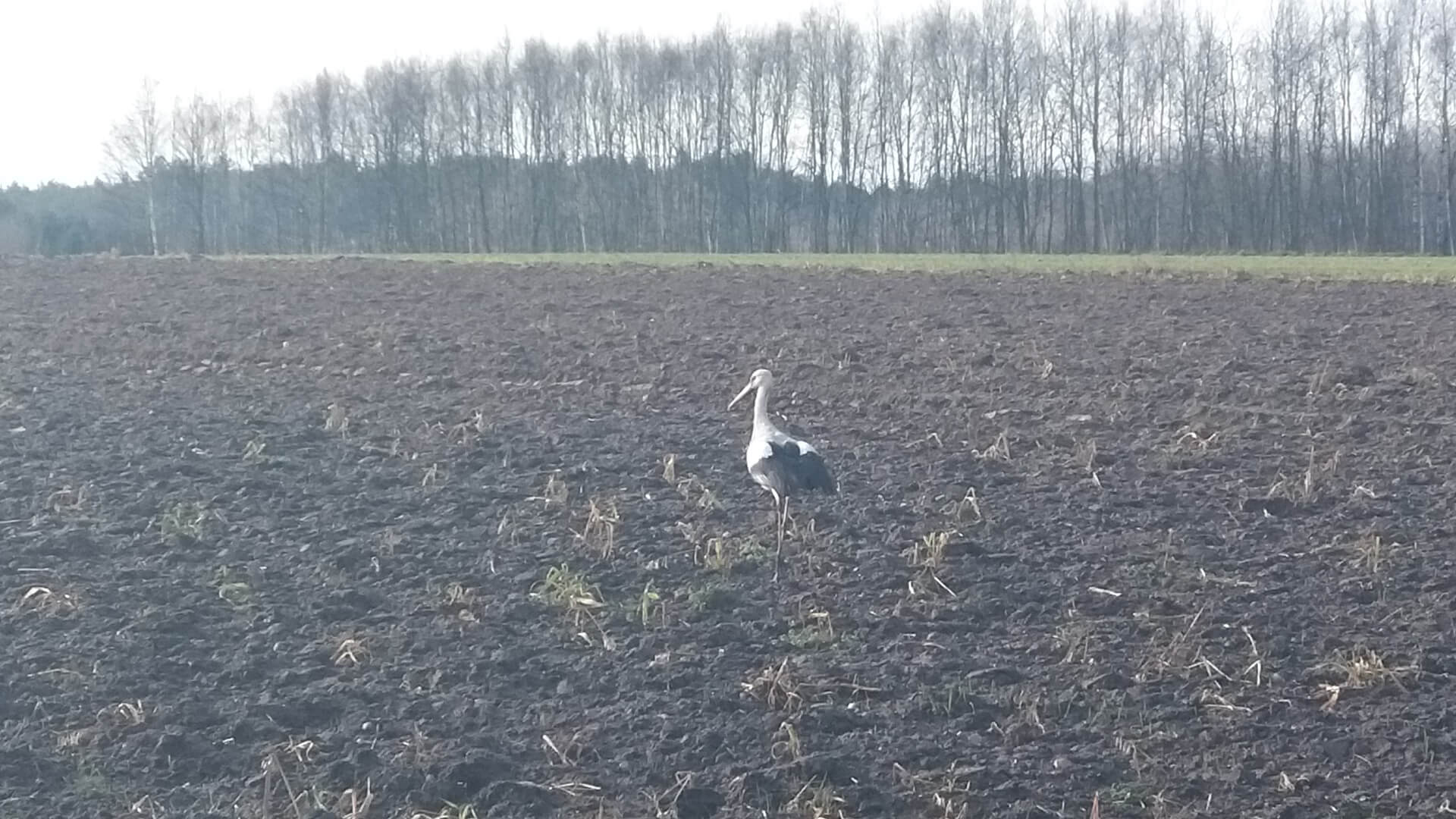 Takiej zimy nie pamiętają nawet najstarsi mieszkańcy regionu