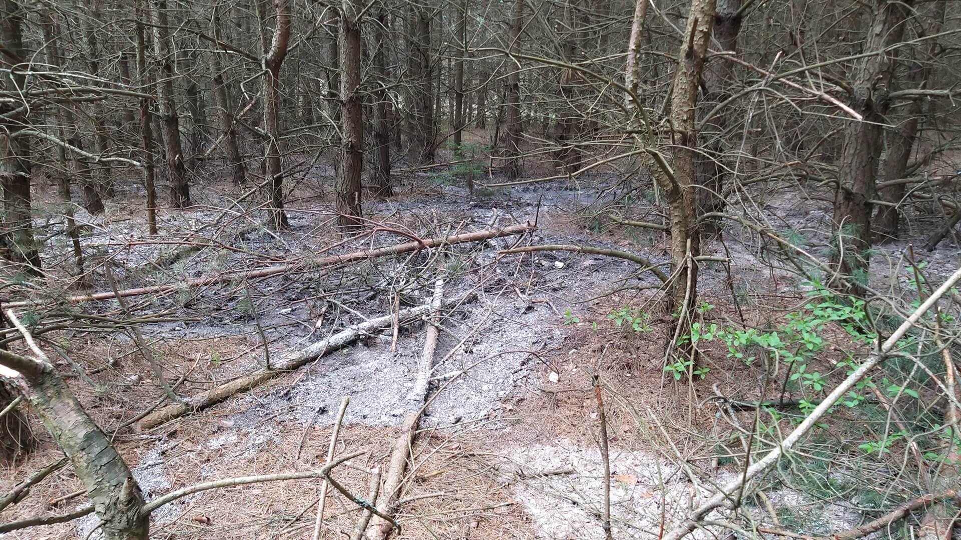 Policja bada proceder wylewania ścieków do lasów w pobliżu Studzianek