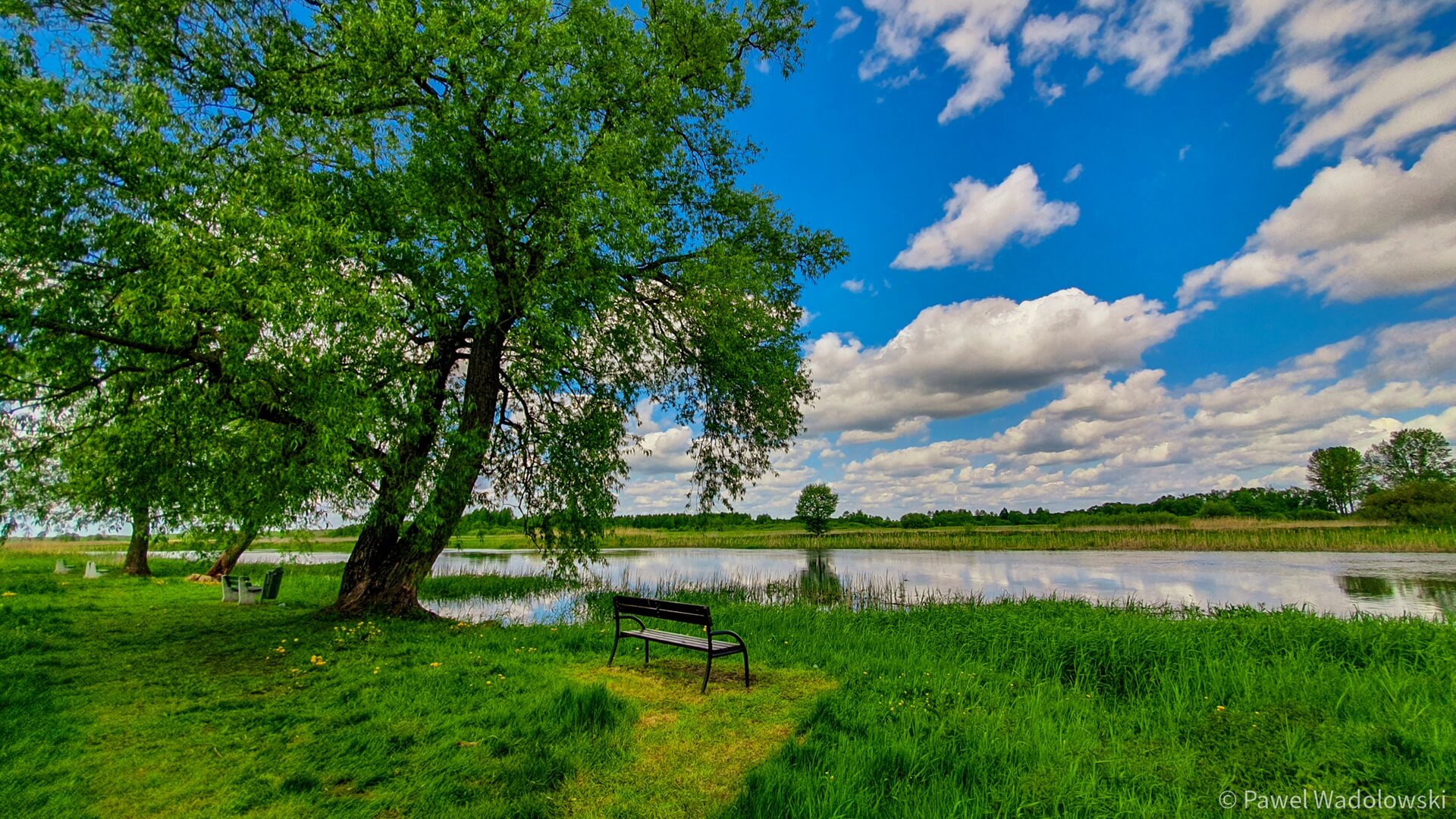 Turyści już mogą korzystać ze Szlaku Góra Skobla w Biebrzańskim Parku Narodowym