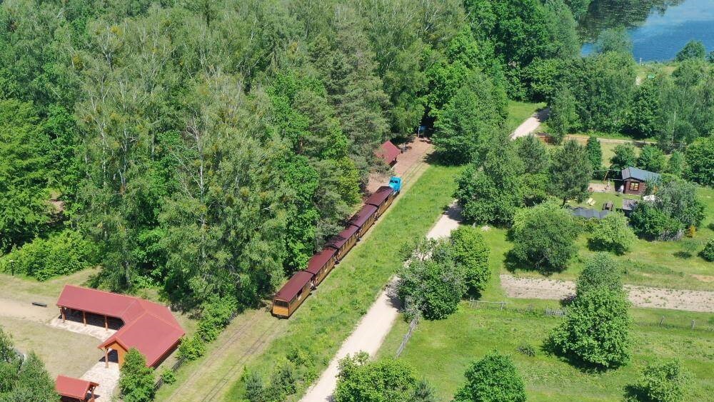 Ciuchcią przez Puszczę Białowieską - kolejka wąskotorowa wznowiła kursy