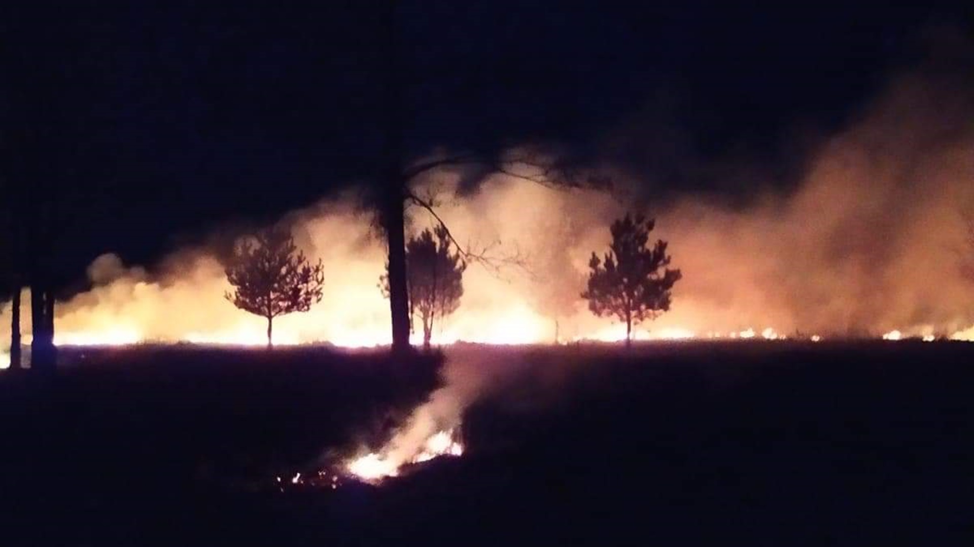 W ciągu ostatnich kilkunastu godzin w Podlaskiem odnotowano 26 pożarów traw