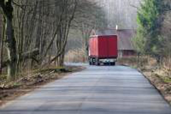 Biebrzański Park Narodowy chce ustawić progi zwalniające na "Carskiej drodze", by chronić zwierzęta - zbiera na to pieniądze