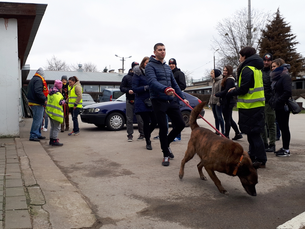 Kibice Jagiellonii na spacerze z psami ze schroniska
