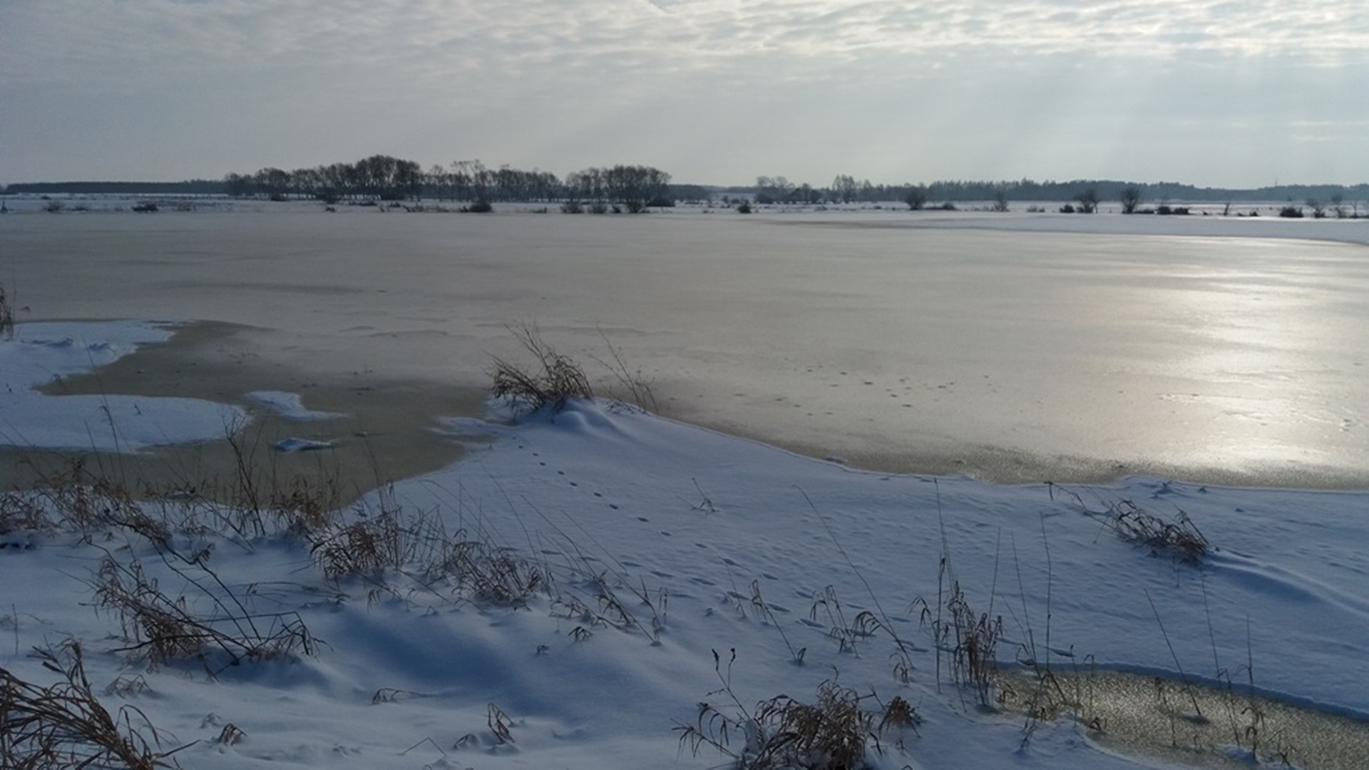 Przyrodnicy apelują, żeby nie wchodzić na zamarznięte rzeki i jeziora
