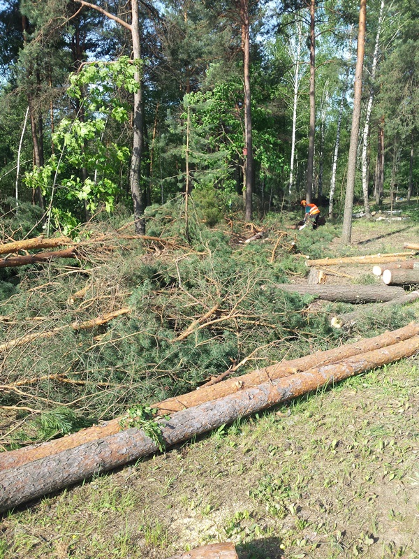 Skazani pomogli w usuwaniu skutków nawałnicy w Świętej Wodzie [zdjęcia]