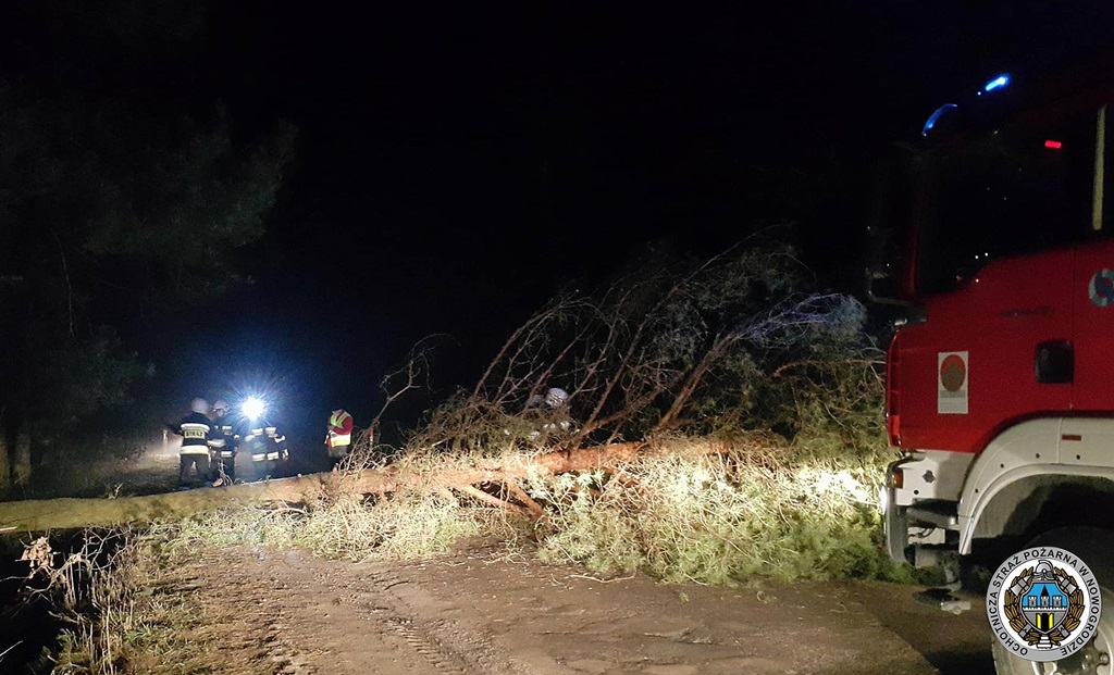 Kto ścina drzewa i blokuje nimi drogi w gminie Nowogród? – policja szuka sprawców