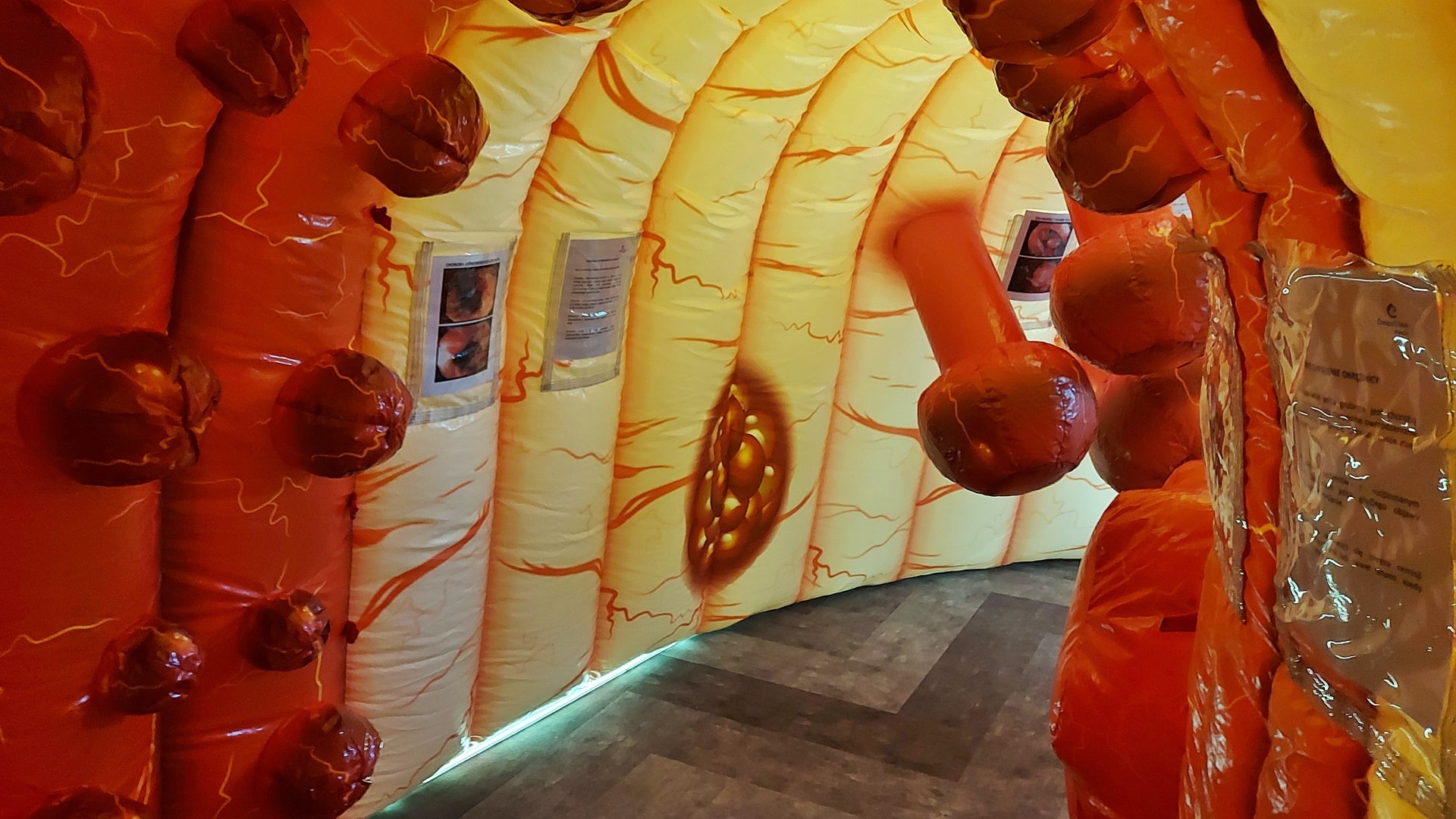 W BCO rozpoczęła się akcja "Nie miej tego gdzieś - wszystko o raku jelita grubego"