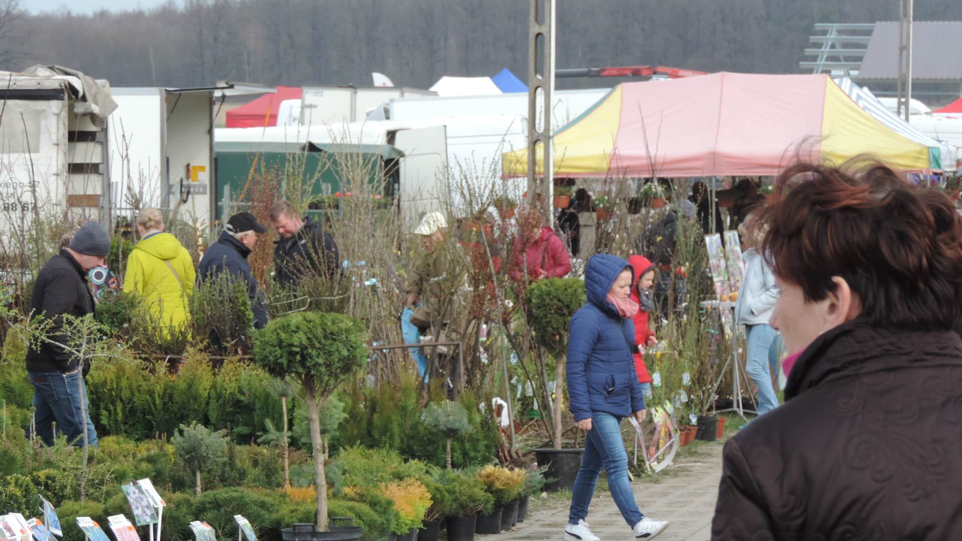 Wiosenne targi w Szepietowie - odwołane