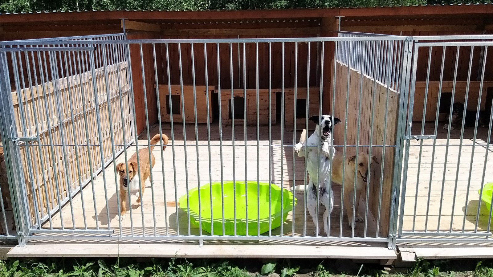 Podsejneńskie schronisko Cyganowo zmienia swoją lokalizację