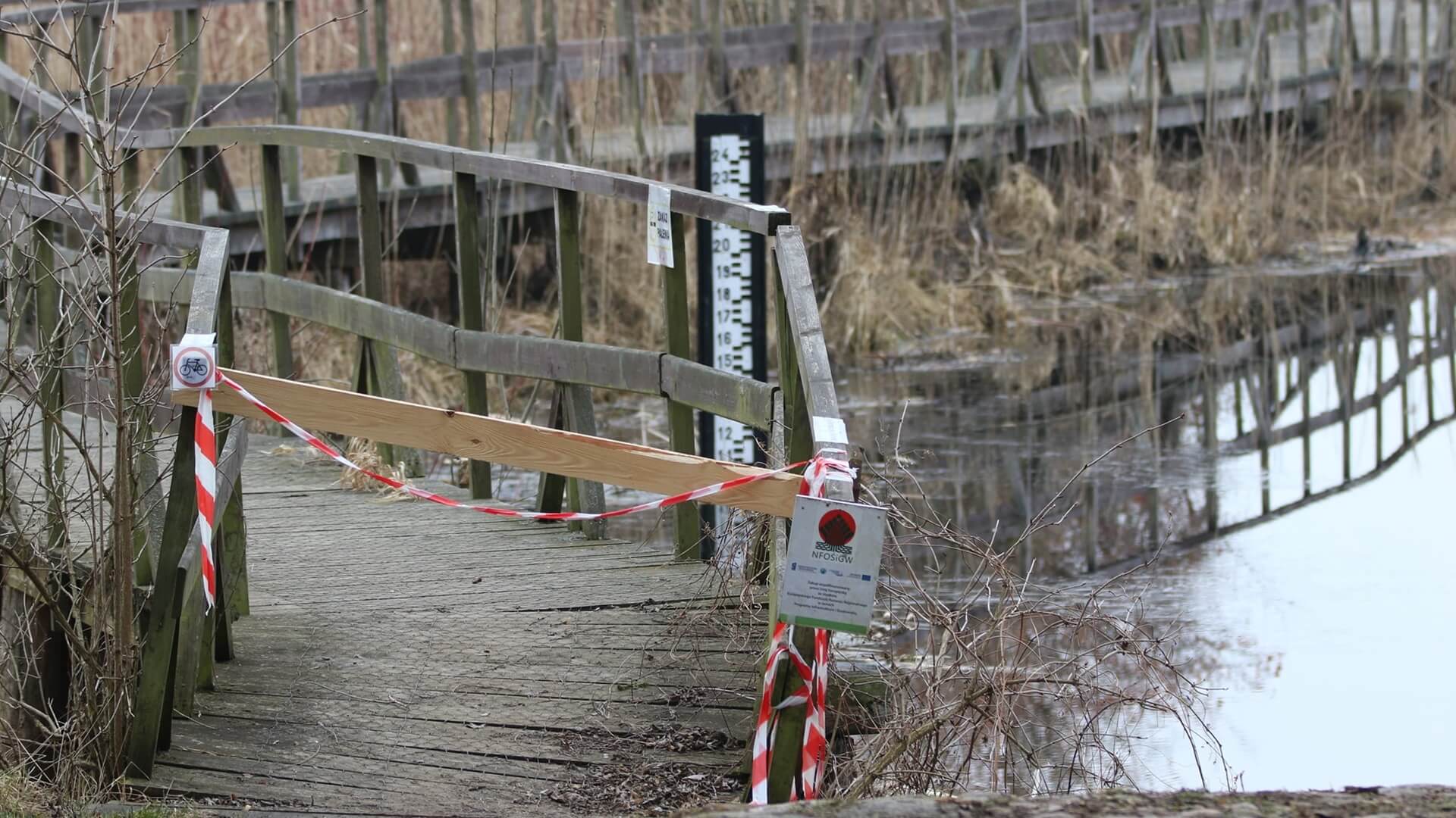Zamknięta jest kładka wśród bagien w Kurowie w Narwiańskim Parku Narodowym