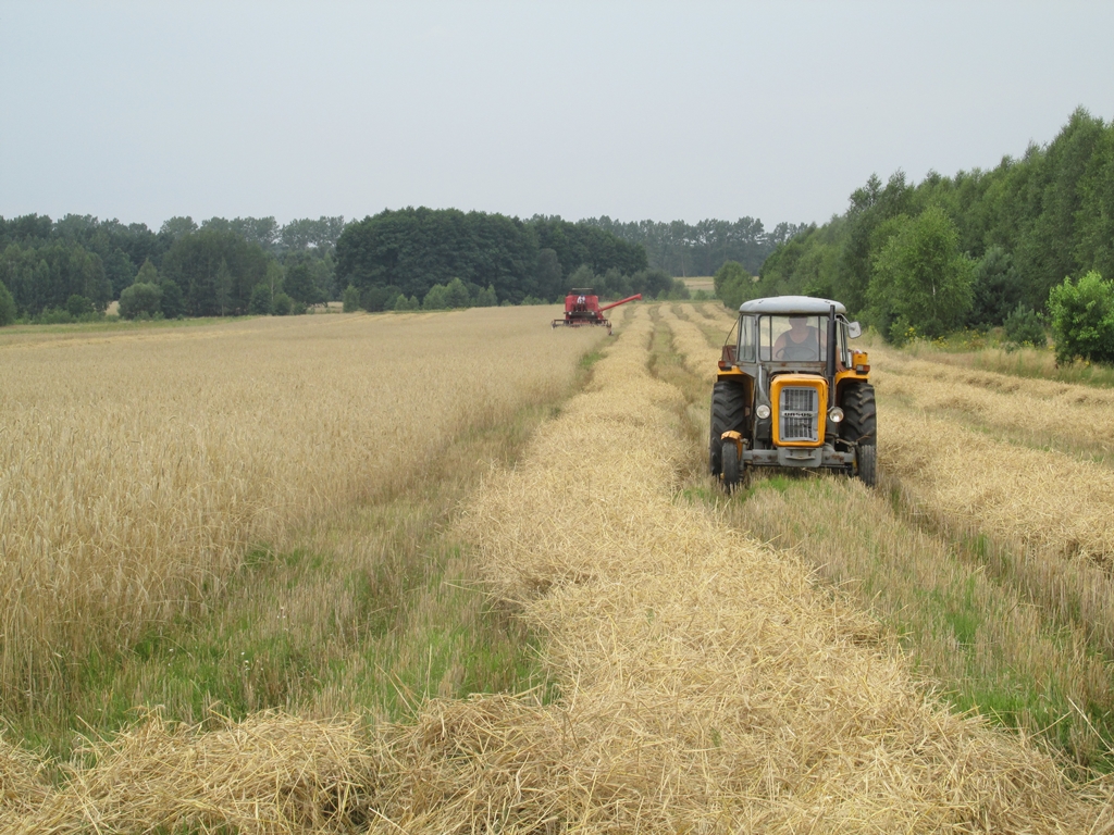 Podsumowanie żniw w województwie podlaskim - rolnicy są zadowoleni