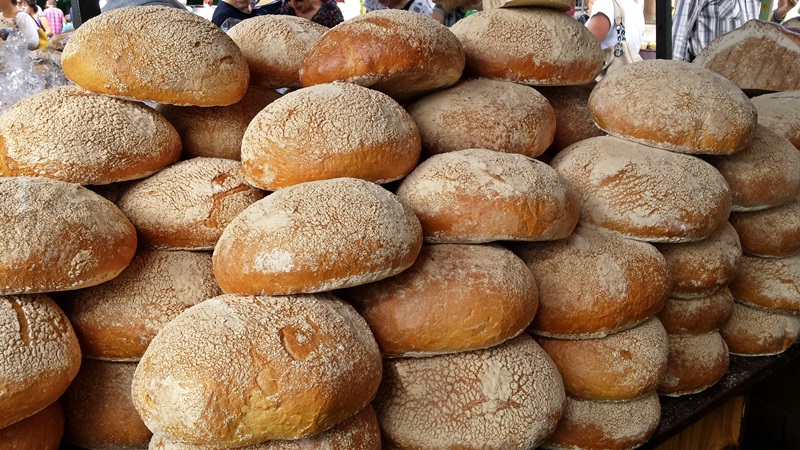 Ciechanowiec - "chlebowe zagłębie" regionu