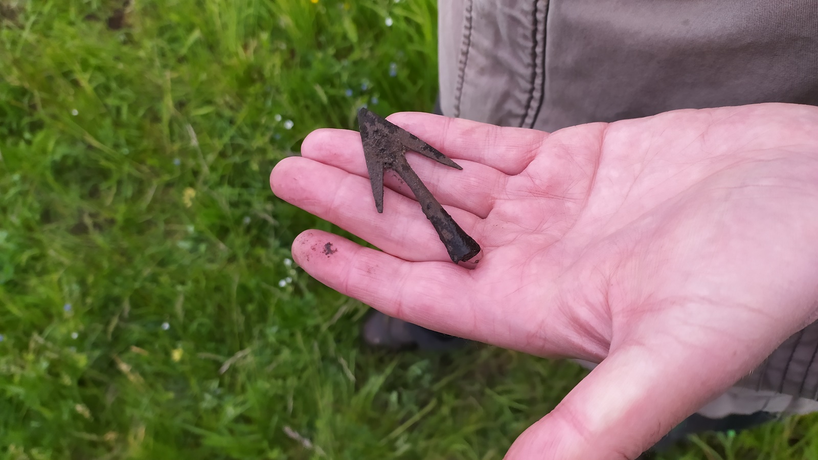 Fascynujące odkrycie w okolicach wsi Grodzisk [zdjęcia]