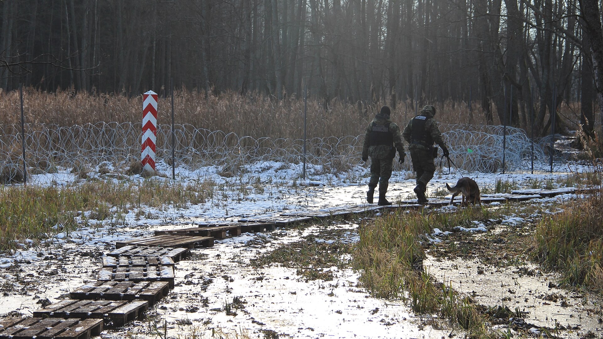 Minionej doby odnotowano 80 prób nielegalnego przekroczenia granicy polsko-białoruskiej