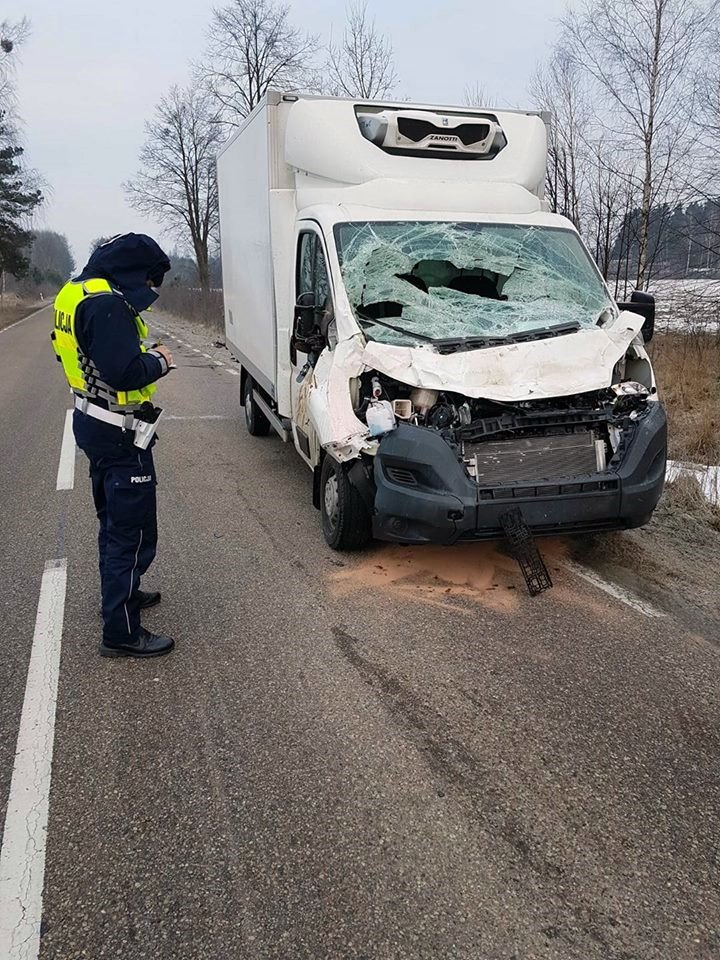 Uwaga na dzikie zwierzęta na drogach - dwie kolizje z żubrami