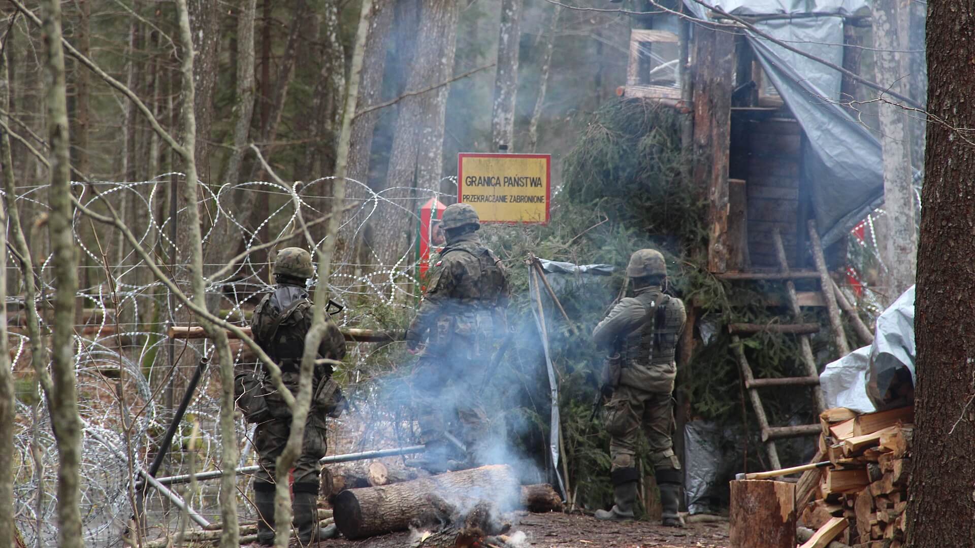 Byliśmy w Puszczy Białowieskiej - tuż przy polsko-białoruskiej granicy [zdjęcia, wideo]