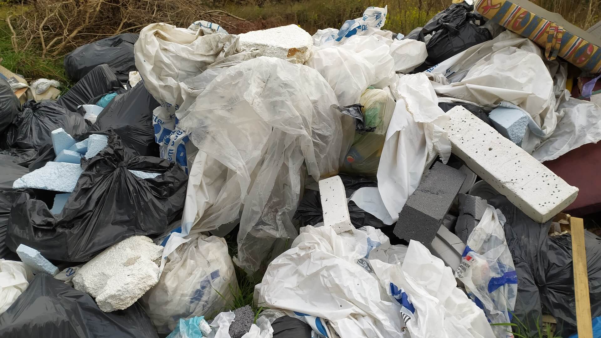 Zostali ukarani za robienie śmietnika z lasu