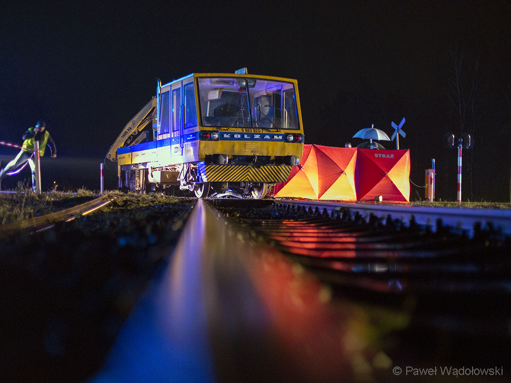 W wypadku, do którego doszło w Wygodzie, zginęli mieszkańcy Gdańska i Małego Płocka