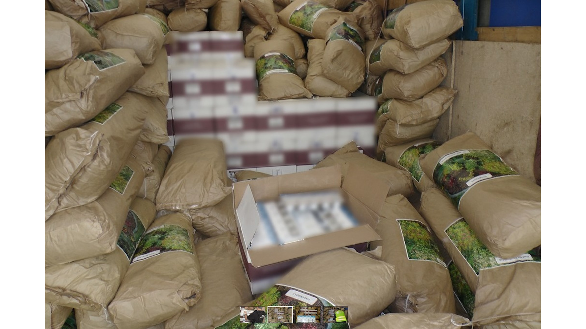 Udaremniono przemyt 370 tys. paczek papierosów w ładunku kory ogrodowej