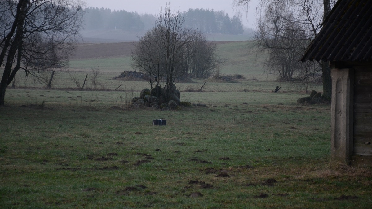 Strażnicy graniczni udaremnili próbę przemytu papierosów z Białorusi z użyciem drona