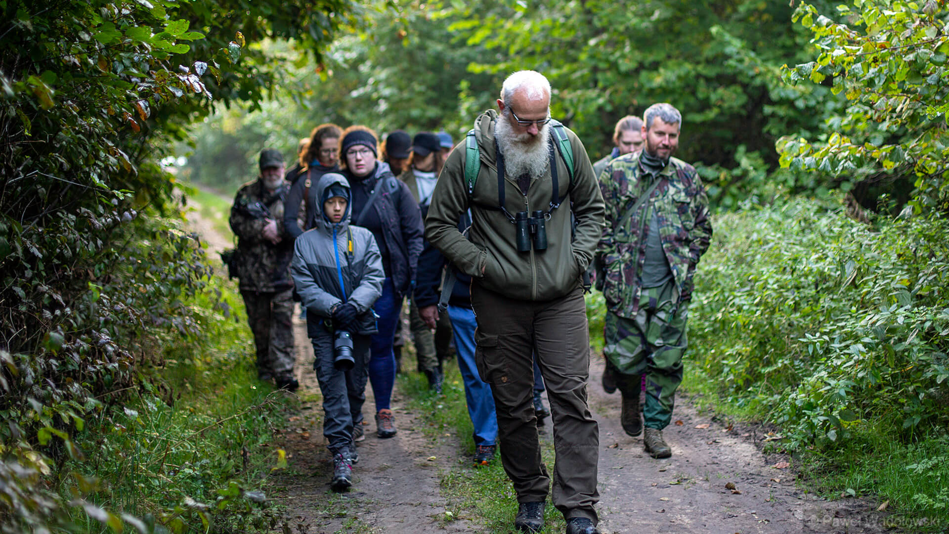 W Biebrzańskim Parku Narodowym zebrali się wielbiciele łosia
