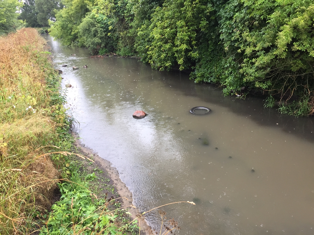 Sprawa zanieczyszczenia rzeki Horodnianki w Choroszczy może trafić do prokuratury