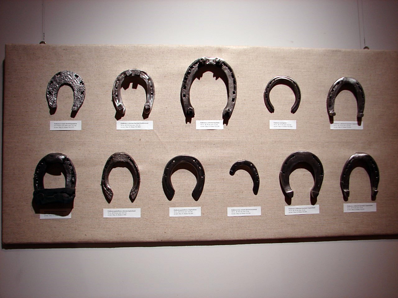 Spotkanie miłośników koni i wystawa eksponatów w Ciechanowcu