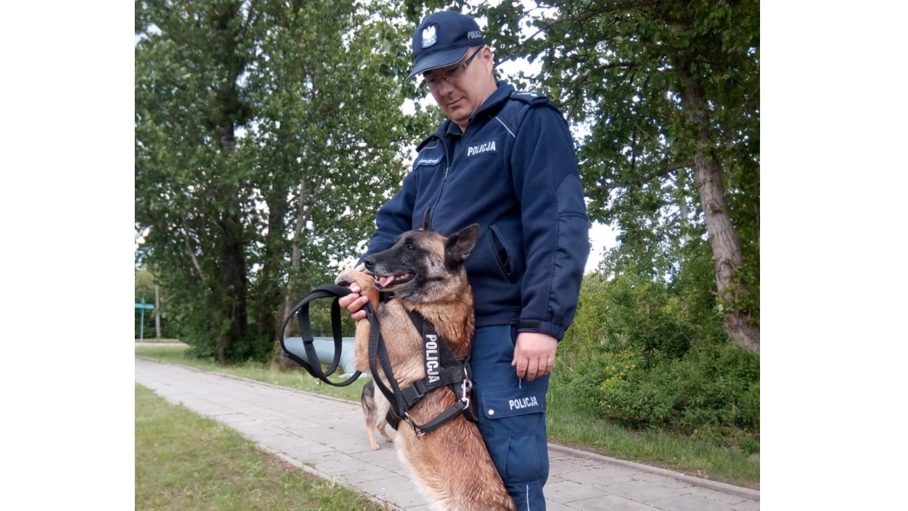 26-latek z Łomży miał w mieszkaniu prawie kilogram marihuany - narkotyki znalazła Ruda