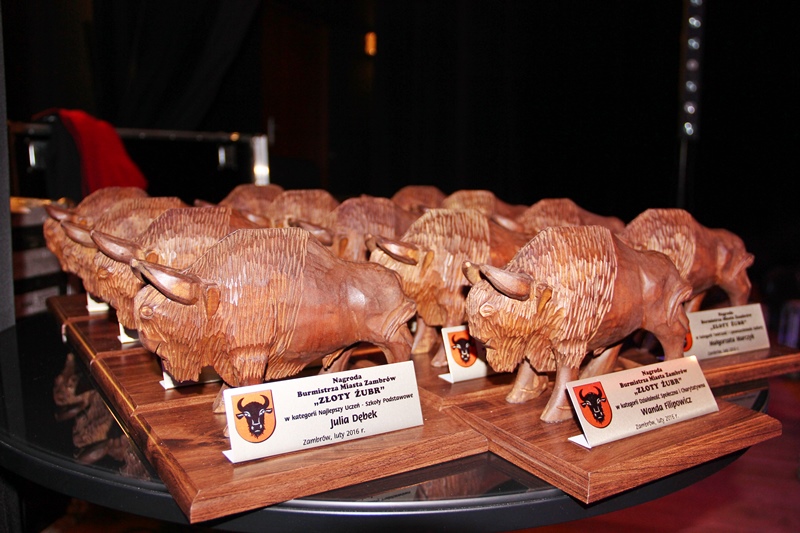 Wpłynęły 52 zgłoszenia do "Zambrowskich Żubrów"