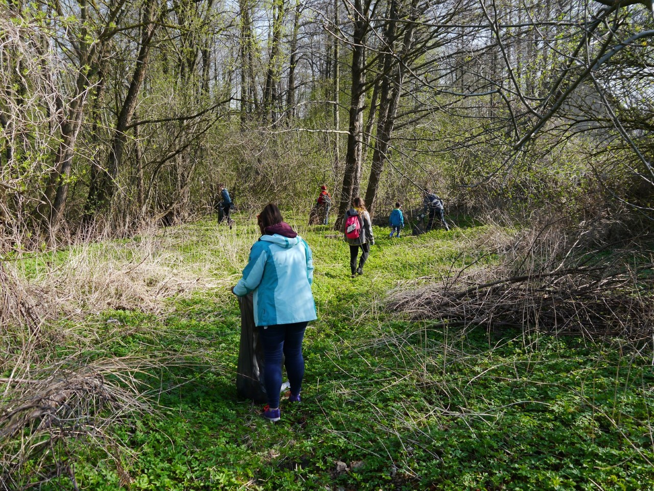 Miłośnicy przyrody posprzątali dolinę rzeki - akcja Czysta Rospuda