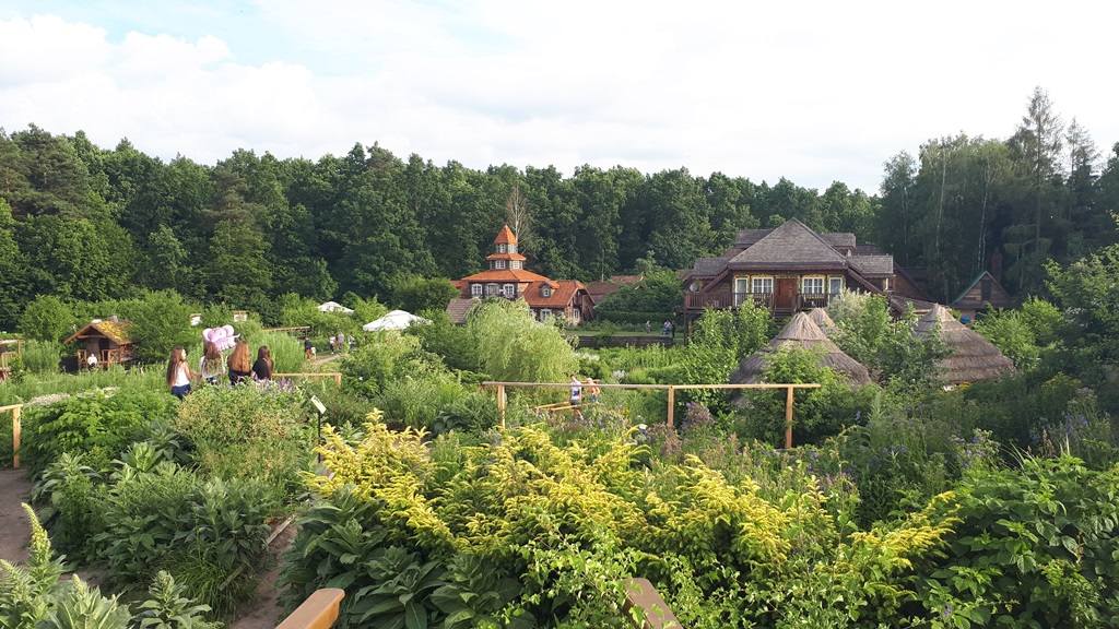 Skomponuj własną mieszankę ziołową - "Nadbużańskie Ziołowe Spotkania" w Korycinach