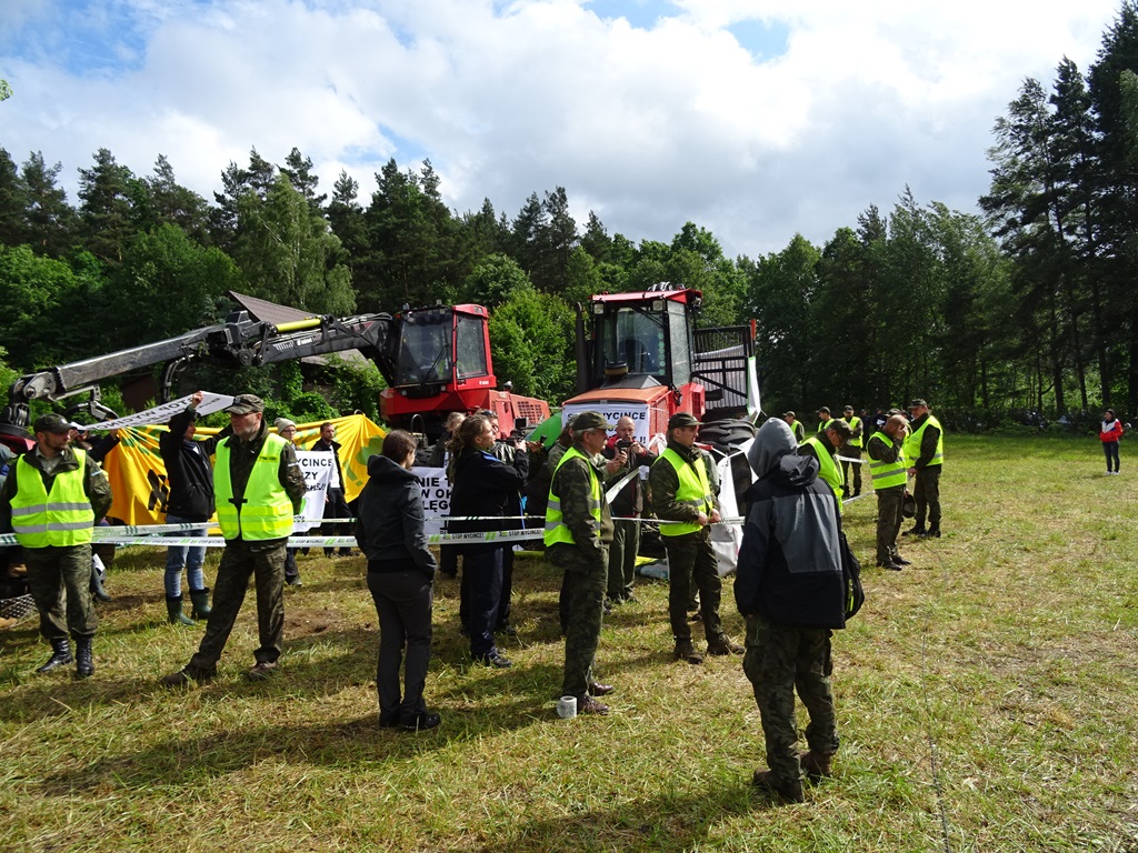 Policja kieruje sprawy do sądu a firma chce wysokich odszkodowań - c.d. zamieszania wokół Puszczy Białowieskiej