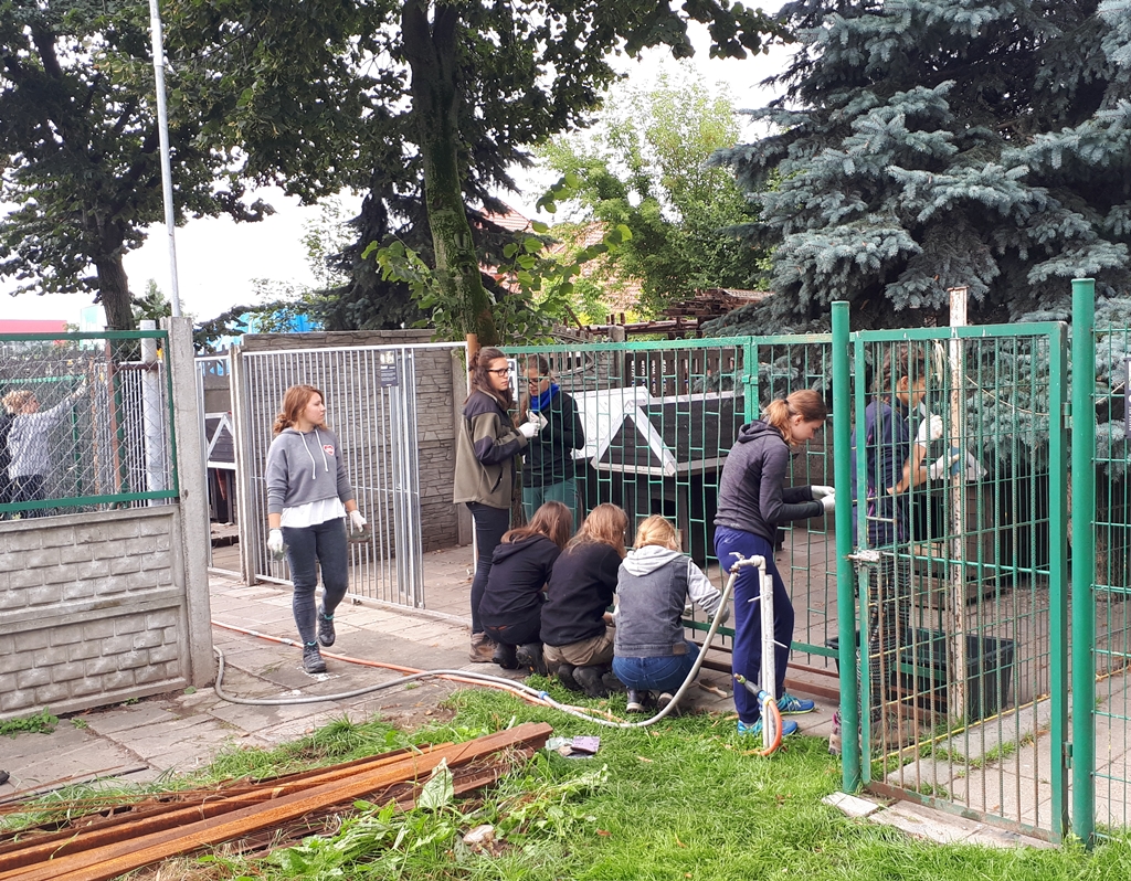 Ponad 50 harcerzy porządkowało schronisko dla zwierząt w Białymstoku