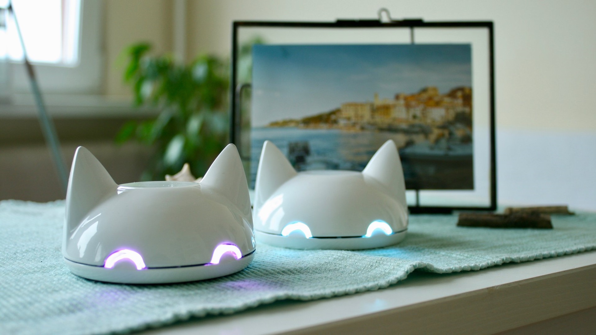 Wynalazek białostockich studentów debiutuje na Kickstarterze