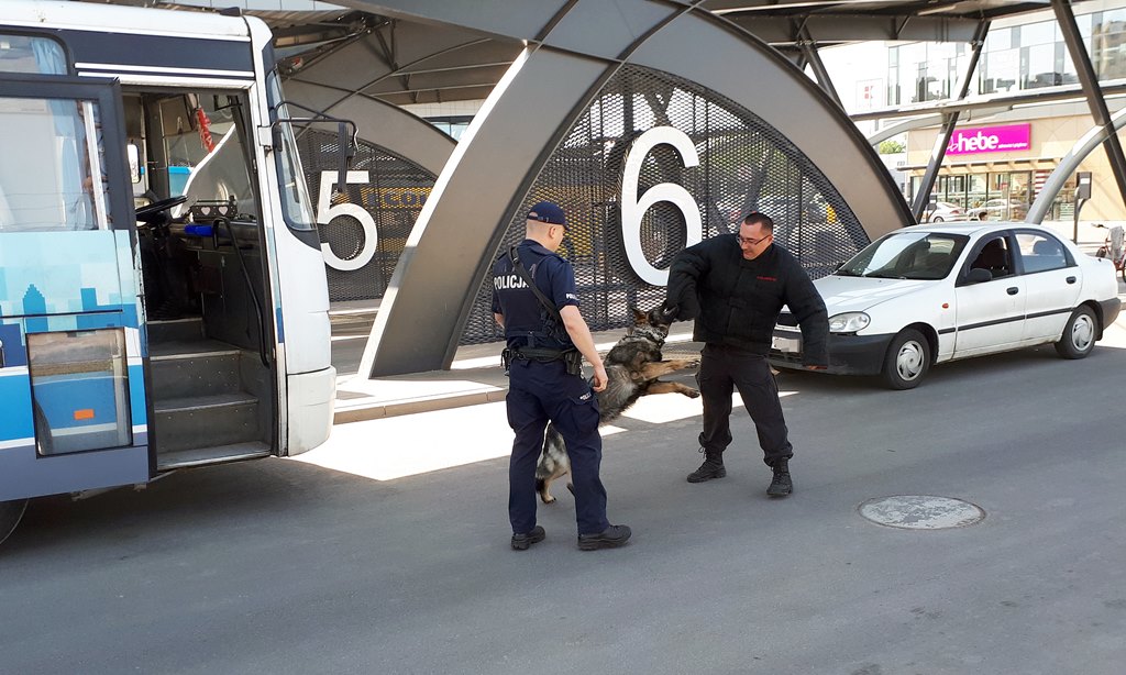 Policja szkoliła swoje psy na dworcu PKS w Białymstoku