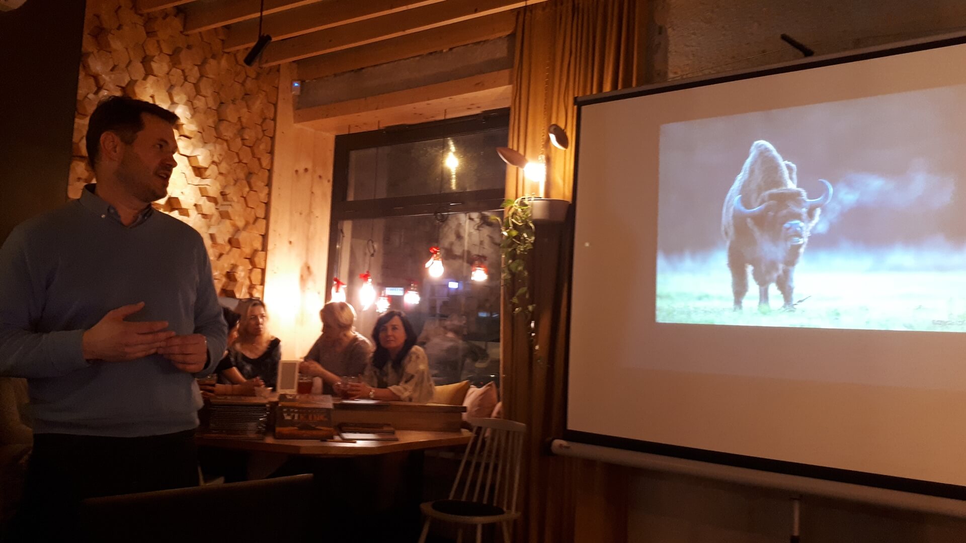 W Białowieży można oglądać wystawę poświęconą Wikingowi - najsłynniejszemu żubrowi z Puszczy Białowieskiej