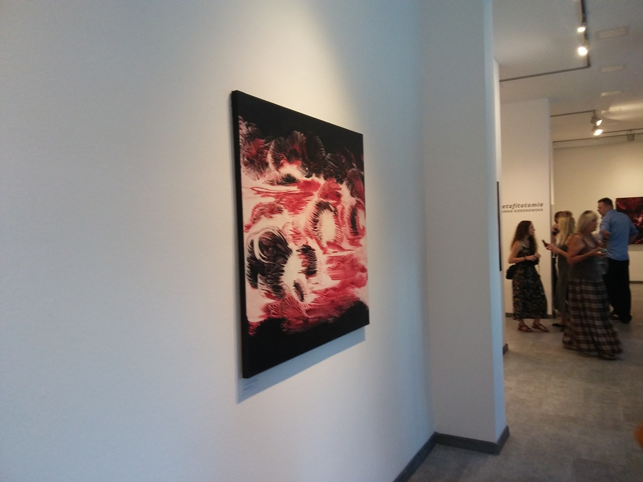 METAFITOTOMIA - grafiki i obrazy Joanny Kiersnowskiej w galerii im. Sleńdzińskich