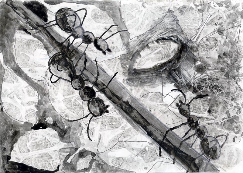 Łomża:  9-letnia Ania zdobyła I nagrodę w ogólnopolskim konkursie plastycznym