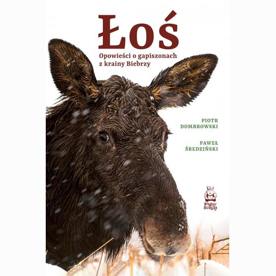 "Łoś. Opowieści o gapiszonach z krainy Biebrzy" Pawła Średzińskiego i Piotra Dombrowskiego