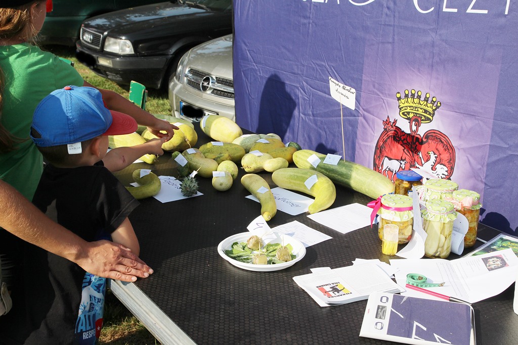 Ogólnopolski Dzień Ogórka w Kruszewie