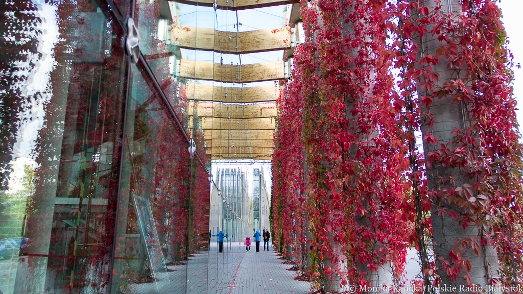 Maturzyści z Białegostoku i okolic mogą korzystać z darmowych wejściówek na koncerty symfoniczne orkiestry OiFP