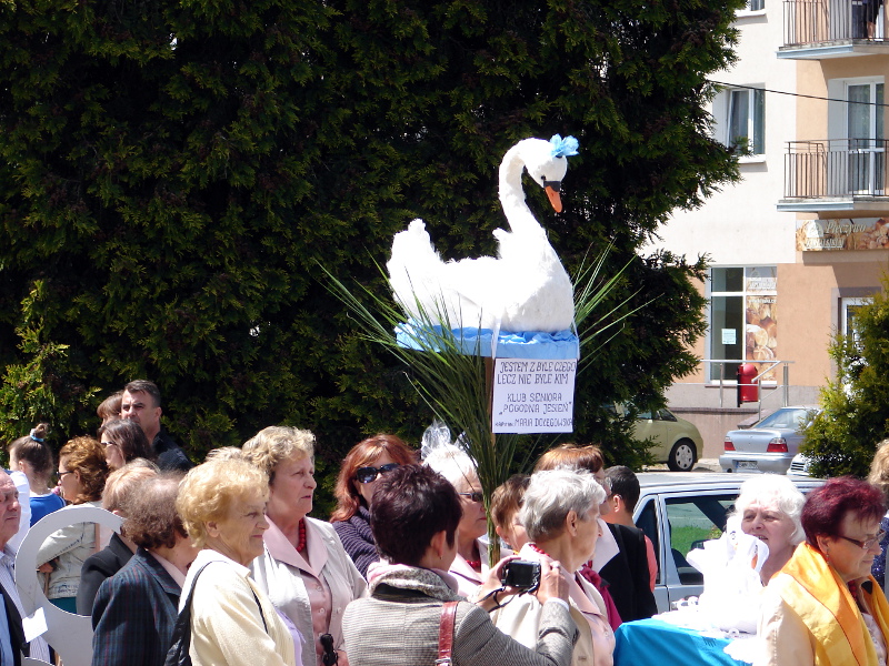 Bicie monet, wypuszczanie balonów i tort jubileuszowy podczas "Dnia Łabędzia" w Wysokiem Mazowieckiem