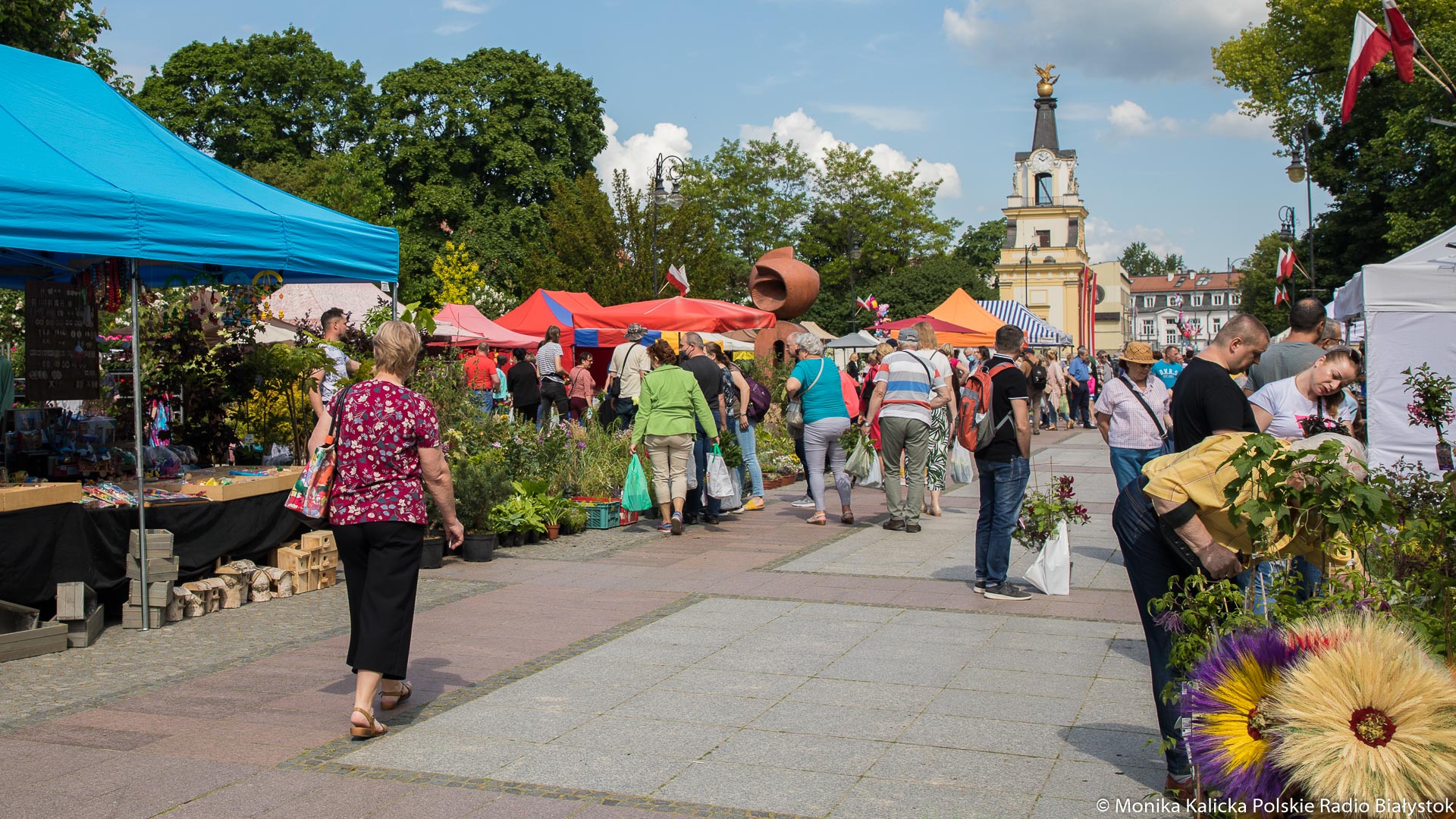 Morze roślin przed Teatrem Dramatycznym - można odwiedzić Kresowy Ogród [zdjęcia, live]