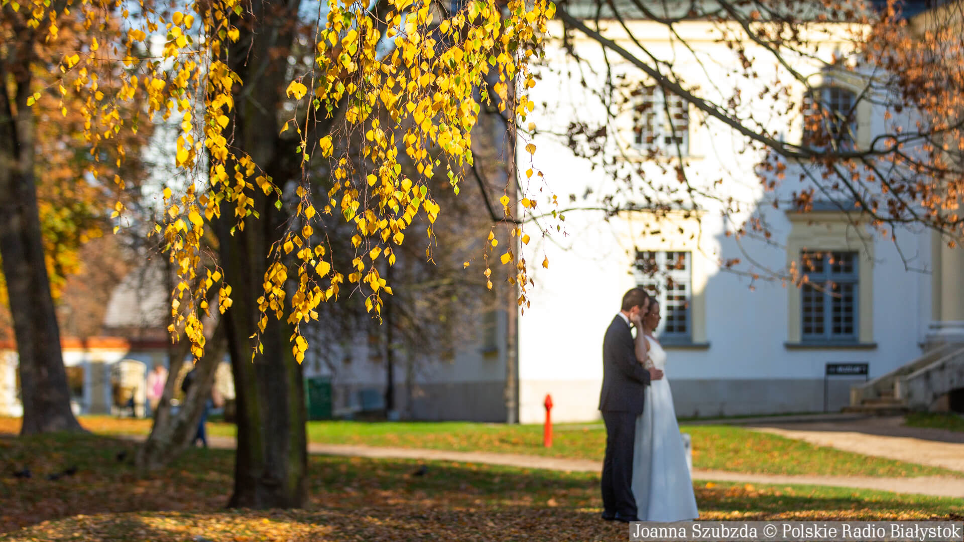 Złota polska jesień w Białymstoku - zachwyca kolorami i zachęca do spacerów [zdjęcia]