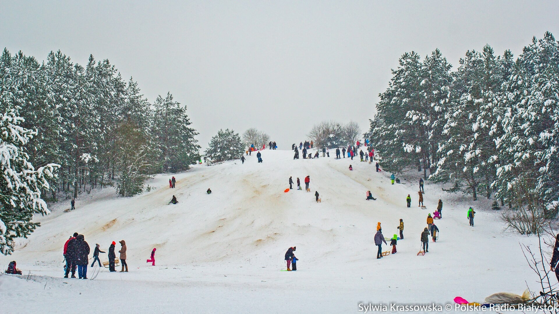Białe szaleństwo w Ogrodniczkach koło Supraśla [zdjęcia, wideo]
