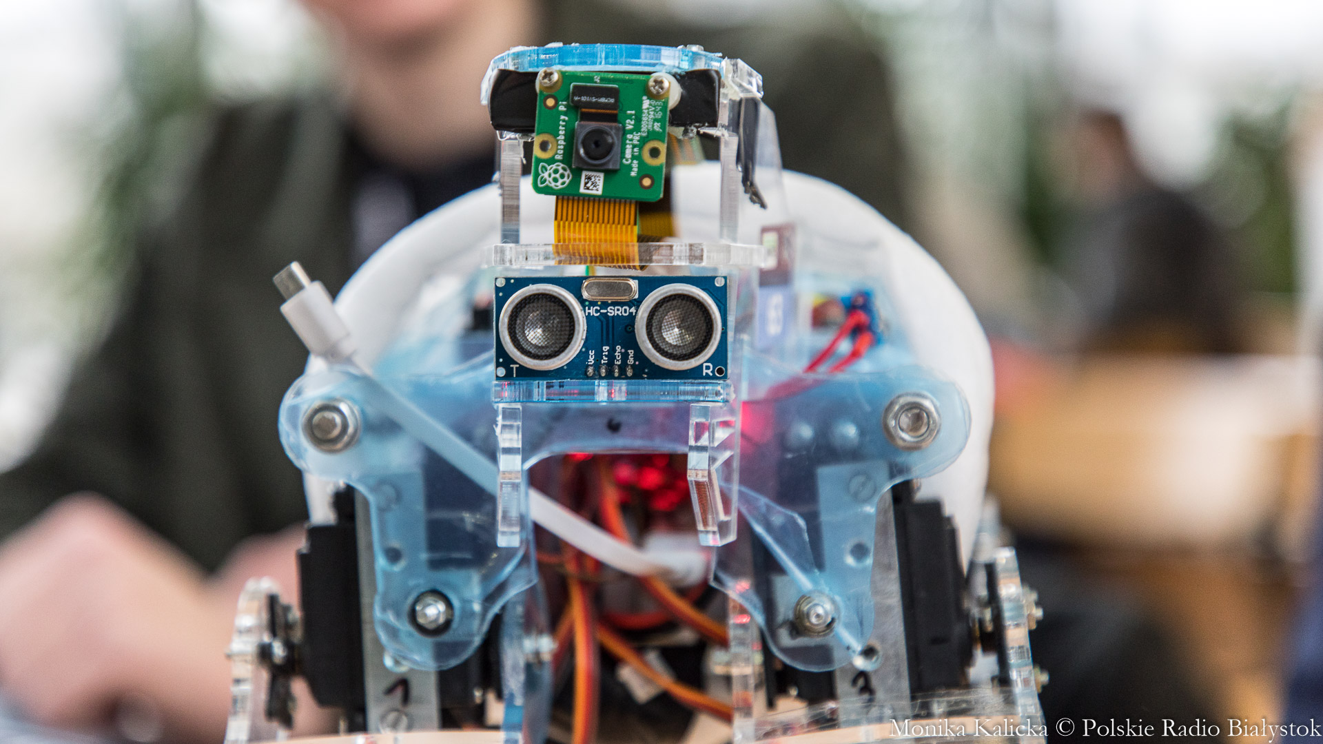 Dziesiątki robotów na turnieju EASTROBO [zdjęcia]