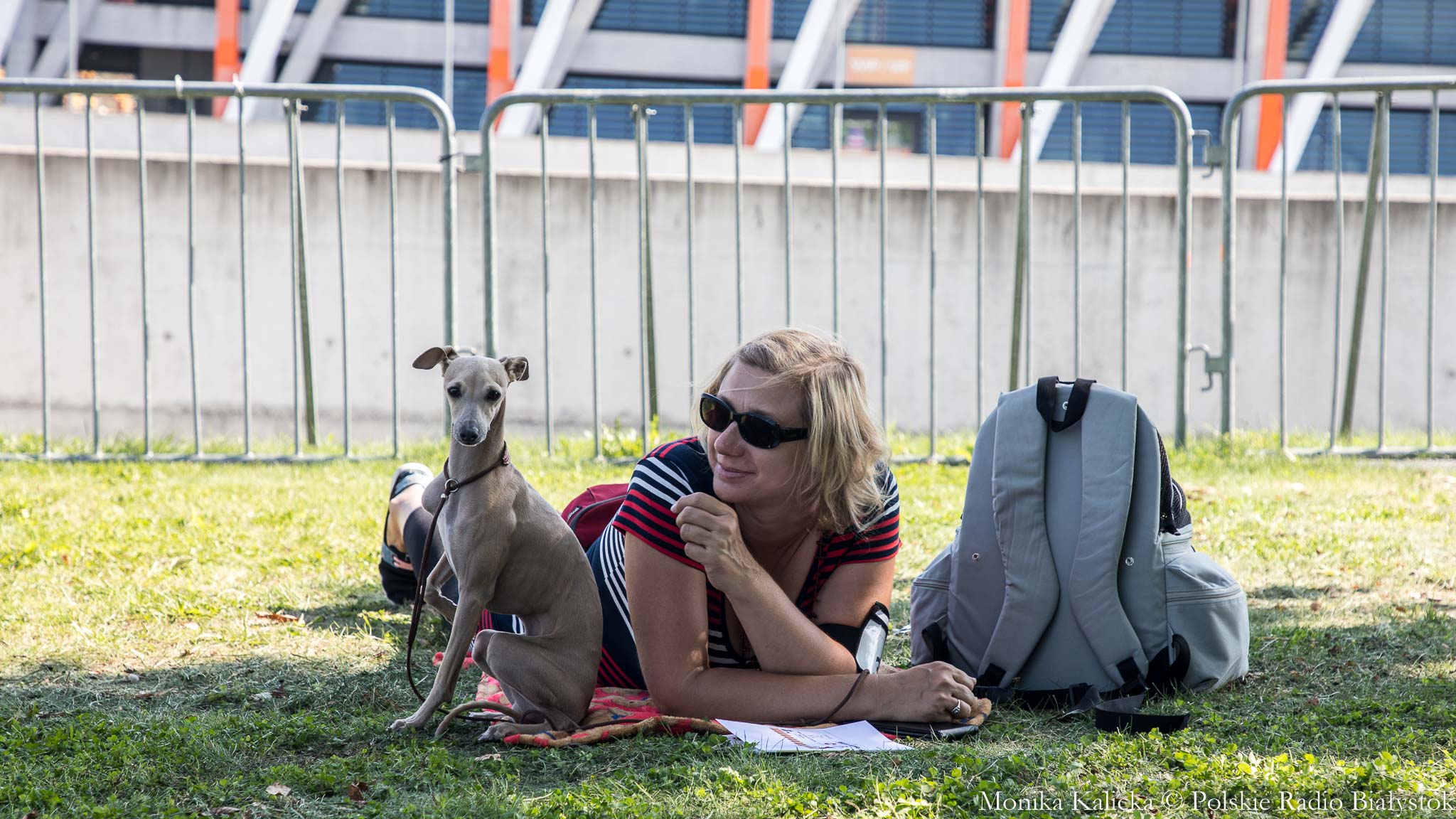 Ponad 200 ras psów można podziwiać na międzynarodowej wystawie w Białymstoku [zdjęcia]
