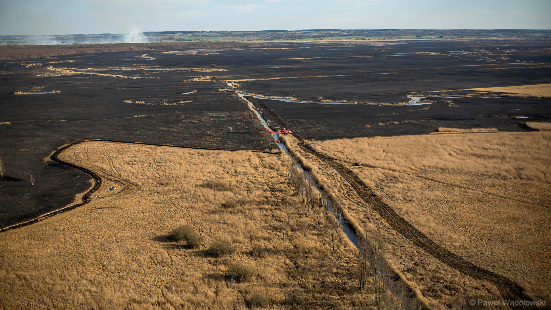 Podlascy radni będą debatować nad Programem Odnowy i Wsparcia Biebrzańskiego Parku Narodowego