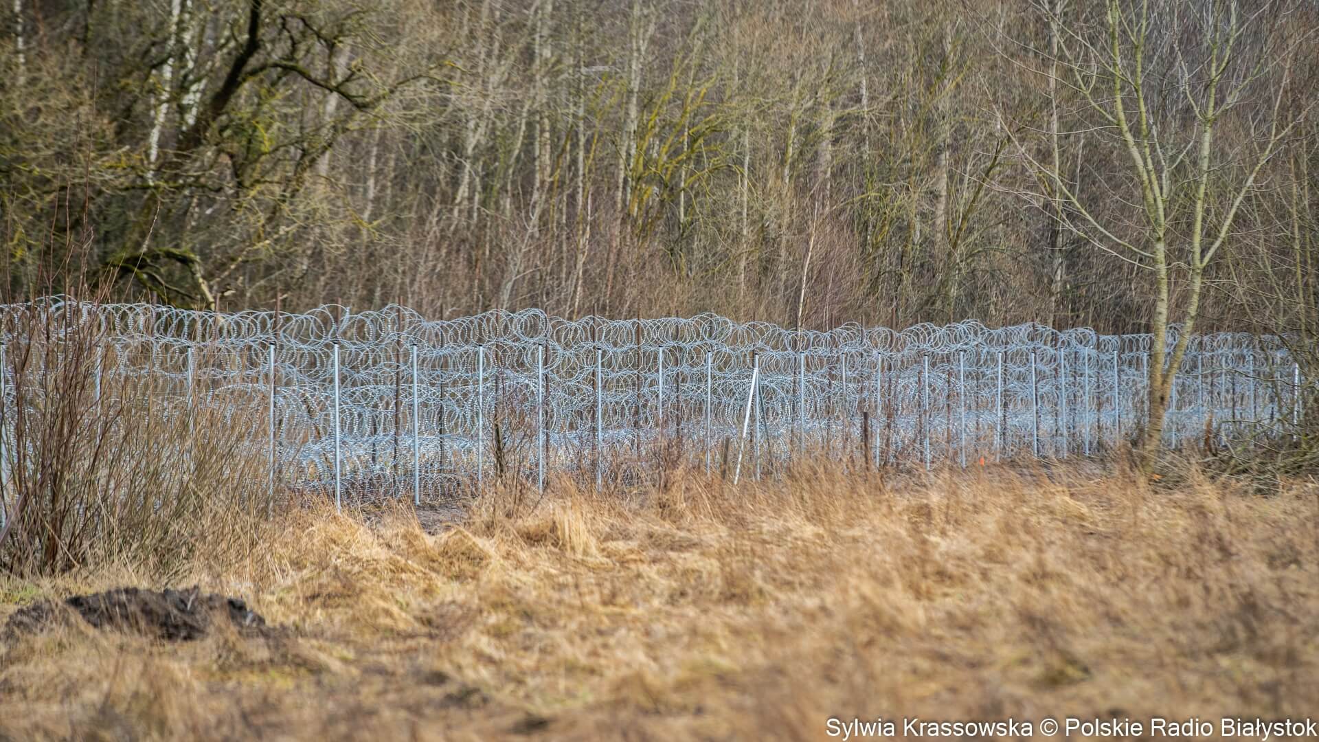 SG: ostatniej doby granicę polsko-białoruską próbowało nielegalnie przekroczyć 36 osób