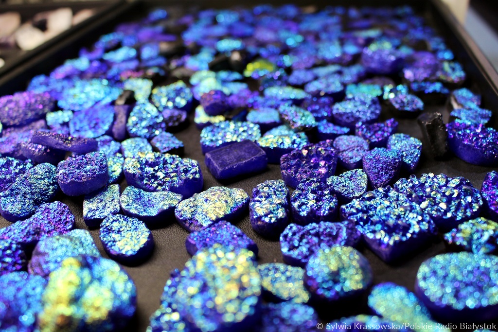 Minerały, skamieniałości i perły na Targach "Skarby Ziemi" w Białymstoku